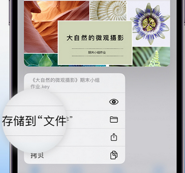 龙湾apple维修中心分享iPhone文件应用中存储和找到下载文件