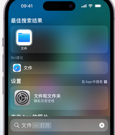 龙湾apple维修中心分享iPhone文件应用中存储和找到下载文件 