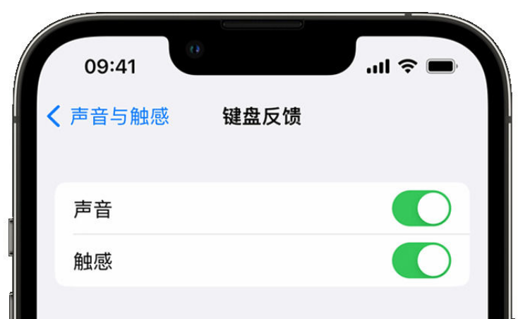 龙湾苹果手机维修分享iPhone 14触感键盘使用方法 