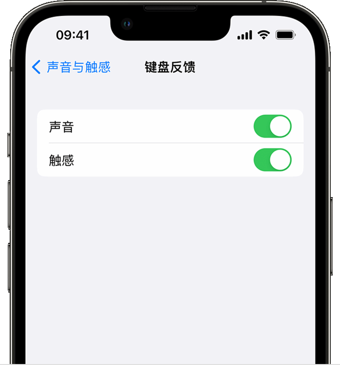 龙湾苹果14维修店分享如何在 iPhone 14 机型中使用触感键盘 