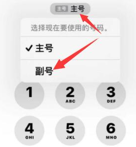 龙湾苹果14维修店分享iPhone 14 Pro Max使用副卡打电话的方法 