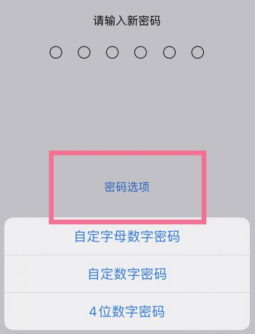 龙湾苹果14维修分享iPhone 14plus设置密码的方法 