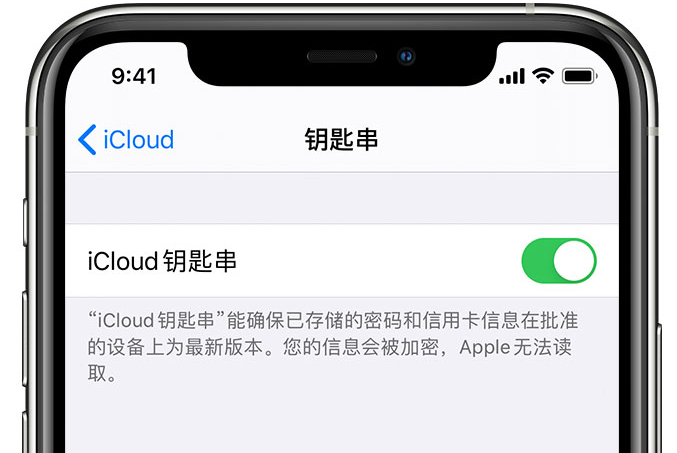 龙湾苹果手机维修分享在 iPhone 上开启 iCloud 钥匙串之后会储存哪些信息 