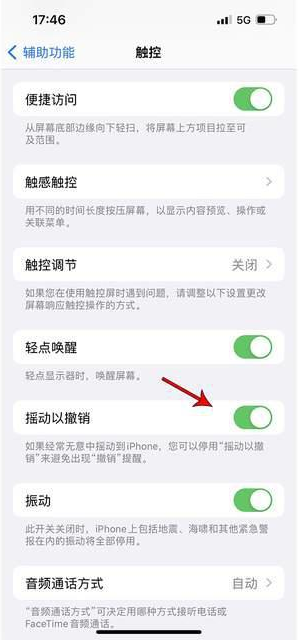 龙湾苹果手机维修分享iPhone手机如何设置摇一摇删除文字 