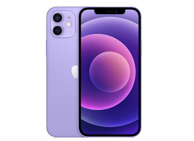 龙湾苹果手机维修分享现阶段要不要入手紫色版iPhone12 
